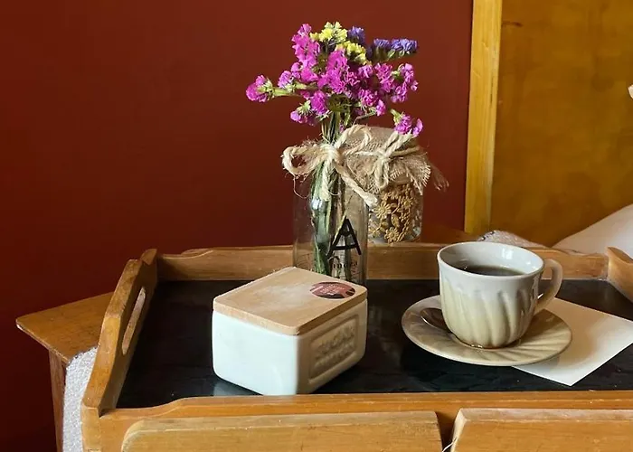 Casa Paqocha - & Garden - Shared Kitchen And Hot Water ゲストハウス